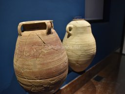 Exposición de los Guerreros de Xian 2023